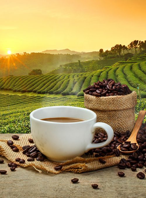 Single Origin Kaffee